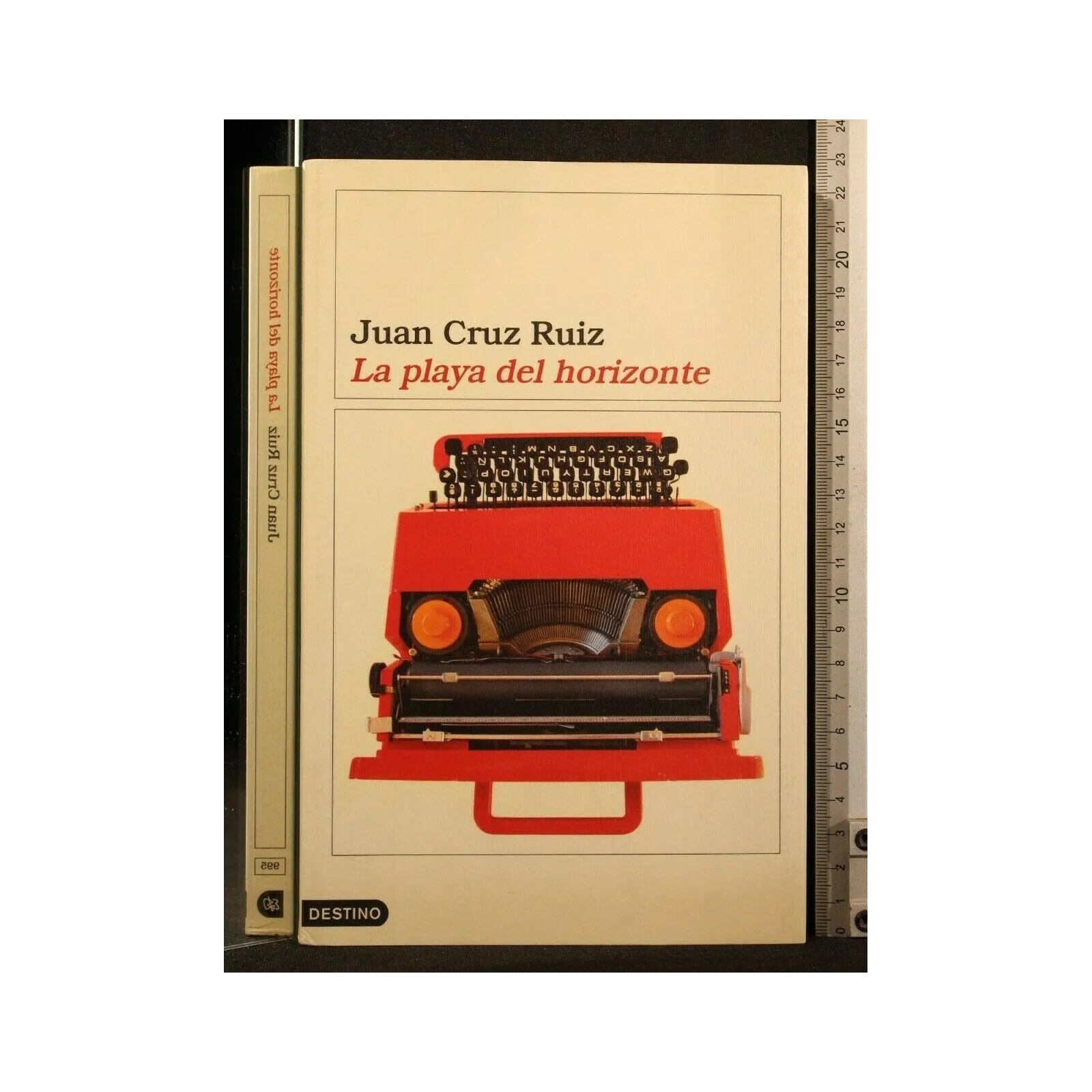 LA PLAYA DEL HORIZONTE