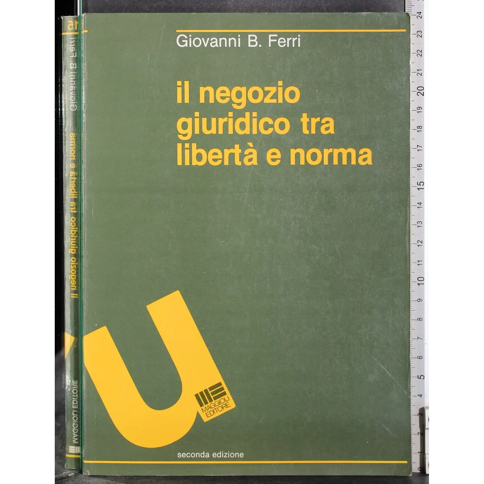 Il negozio giuridico tra libertà e norma