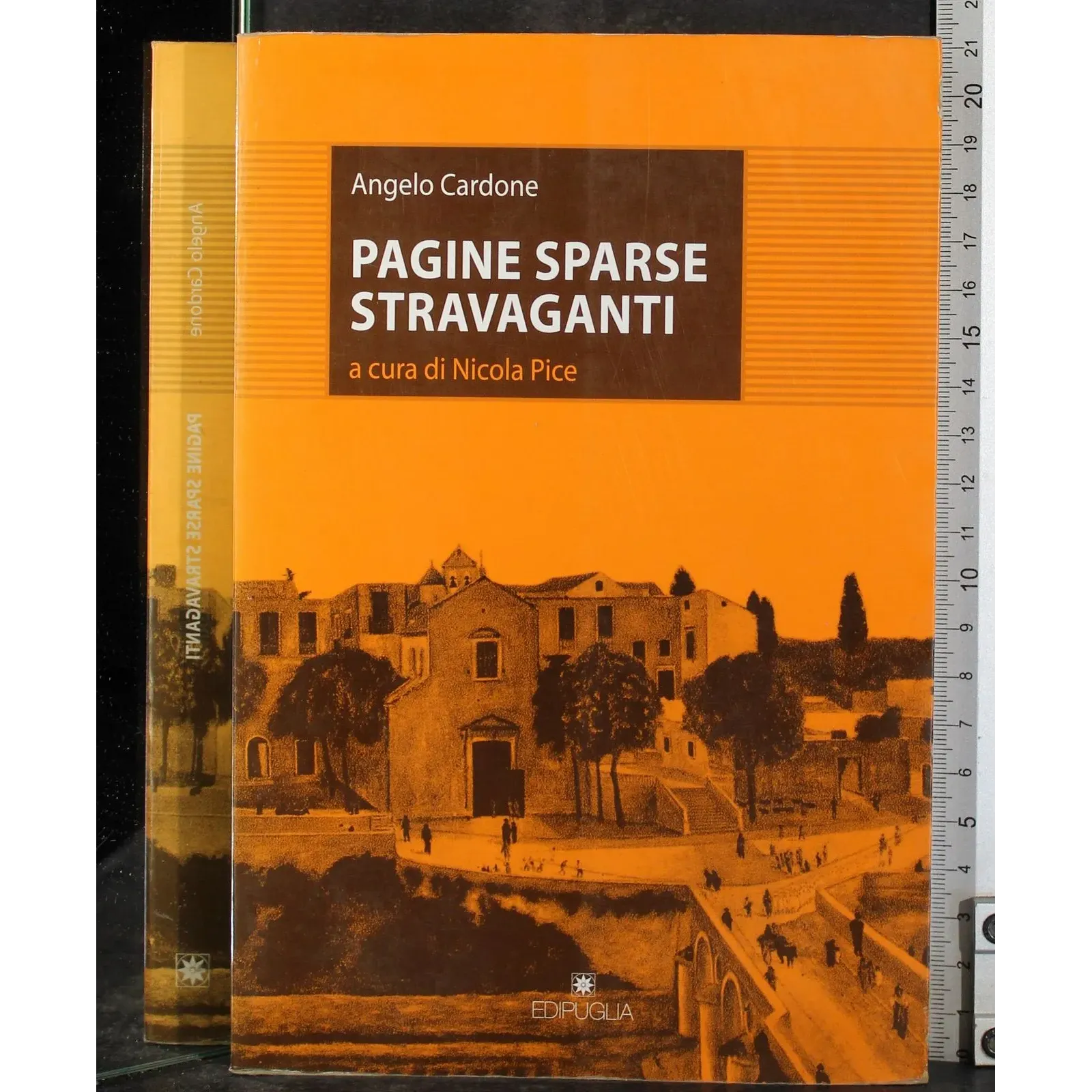 Pagine sparse stravaganti