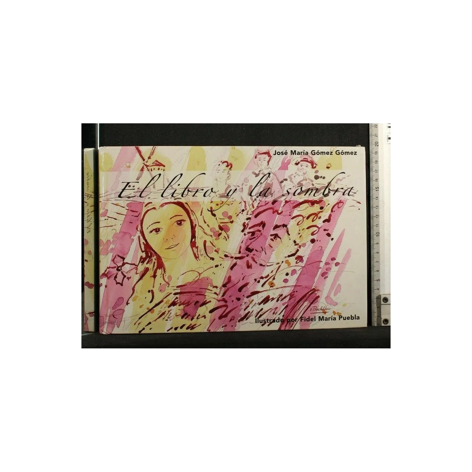 EL LIBRO Y LA SOMBRA