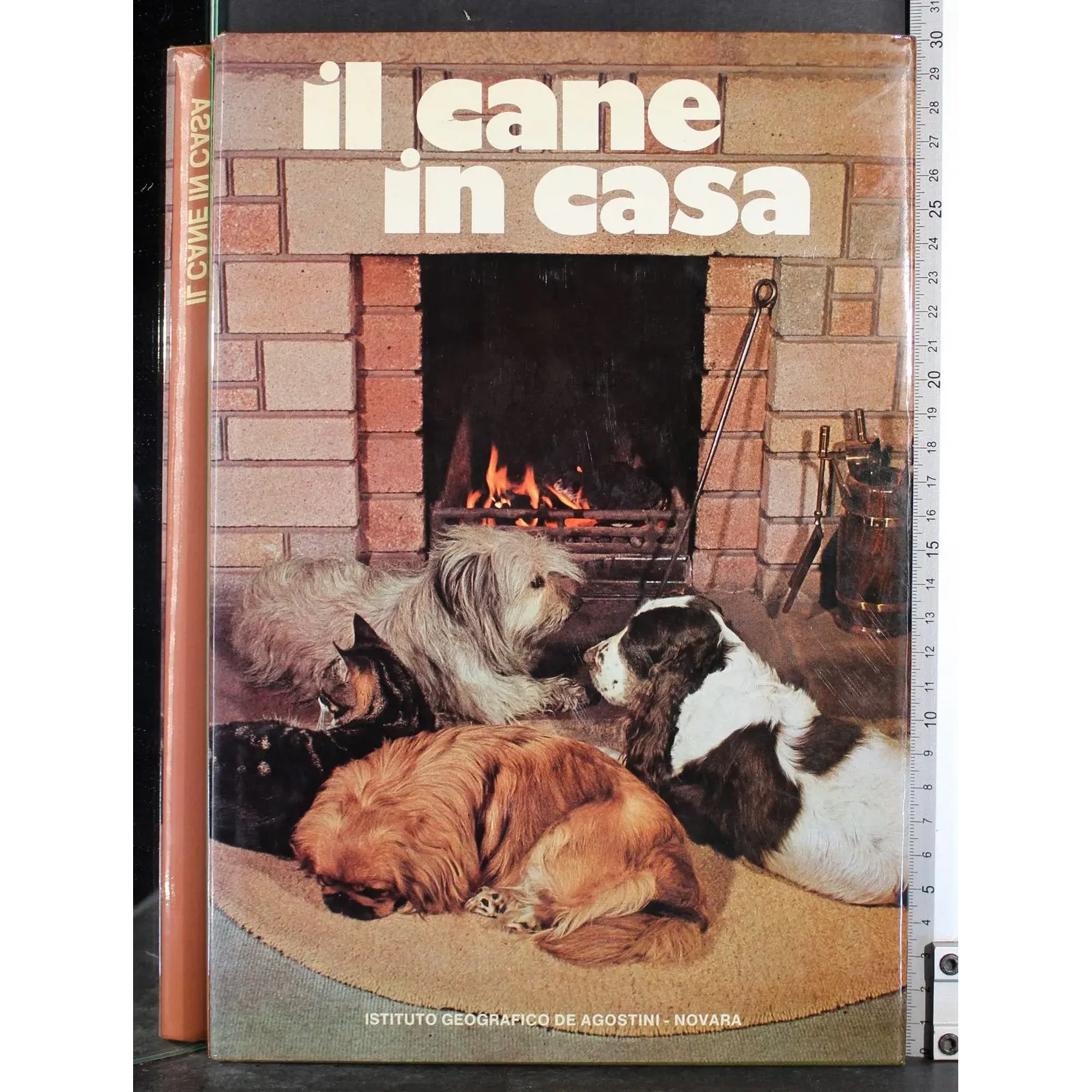 Il cane in casa