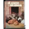 Il cane in casa