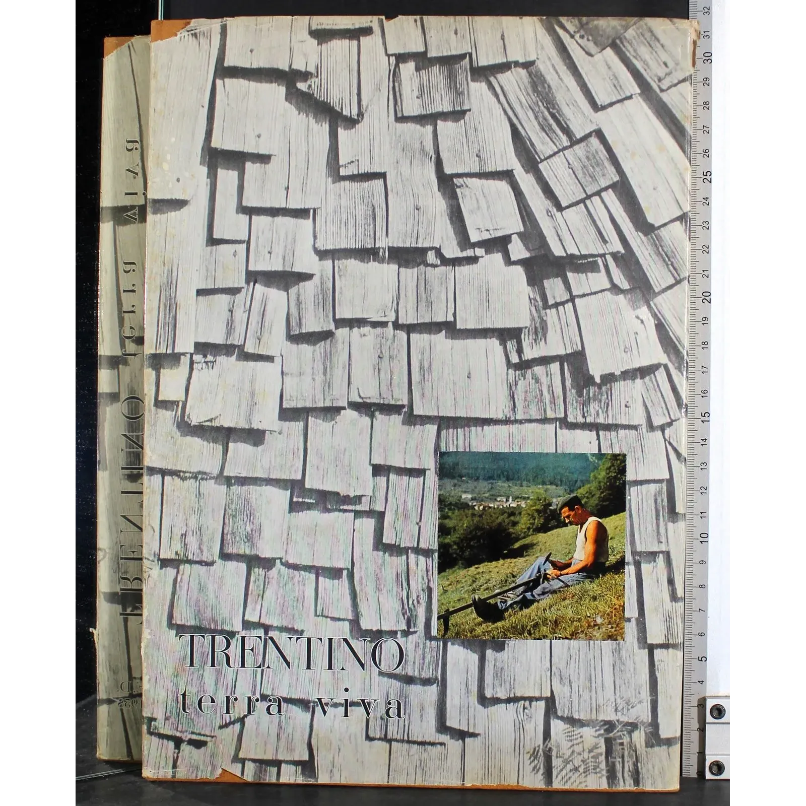 Trentino. Terra viva