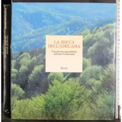 La rocca dell'Adelasia