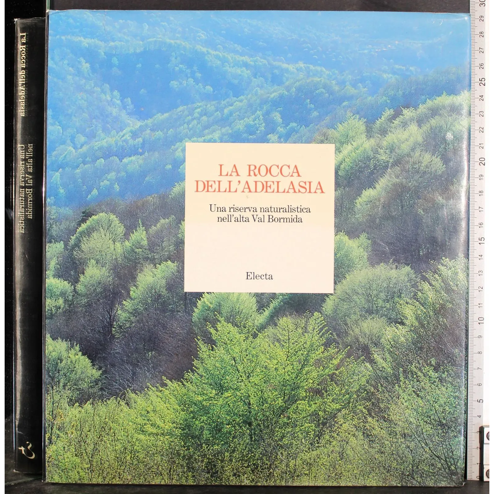 La rocca dell'Adelasia