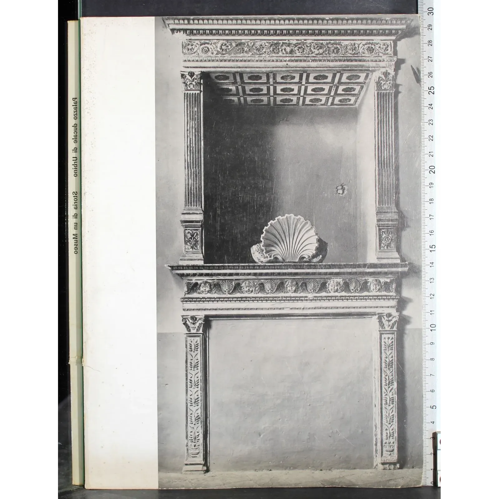 Palazzo ducale di Urbino. Storia di un museo