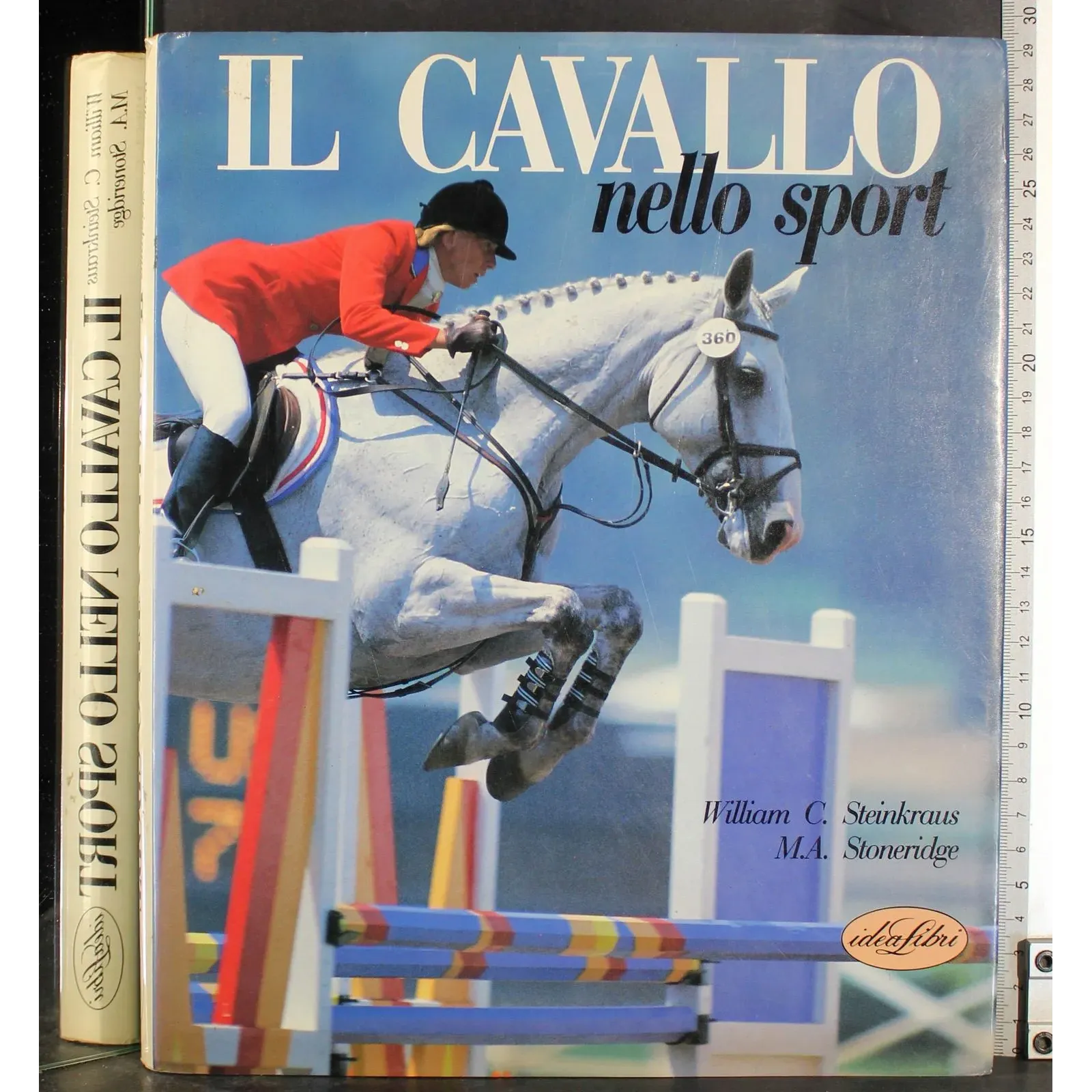 Il cavallo nello sport