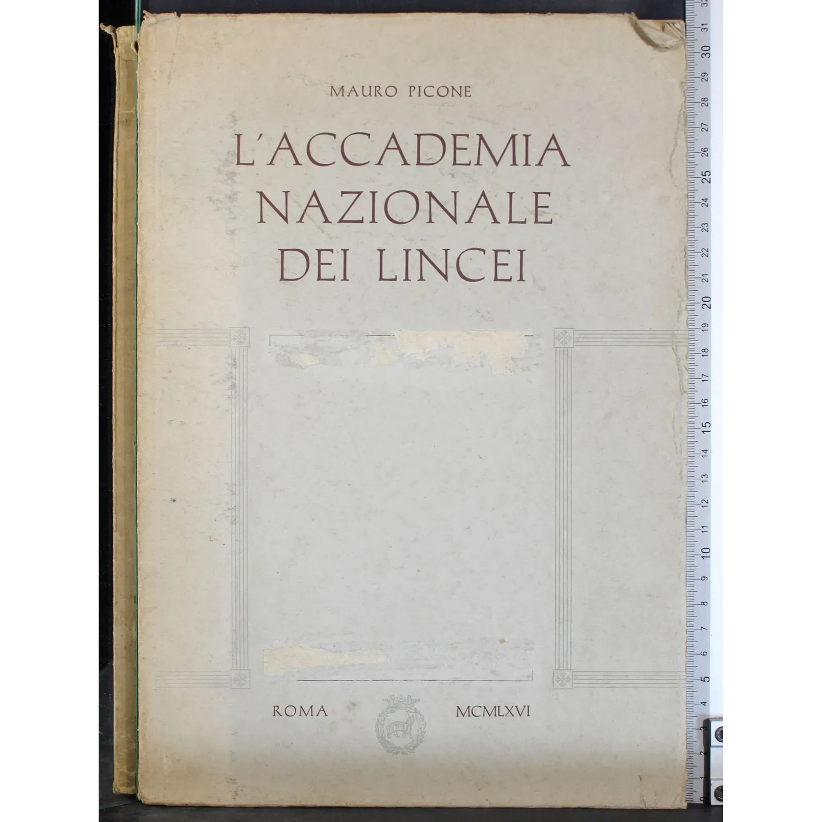 L'accademia nazionale dei Lincei