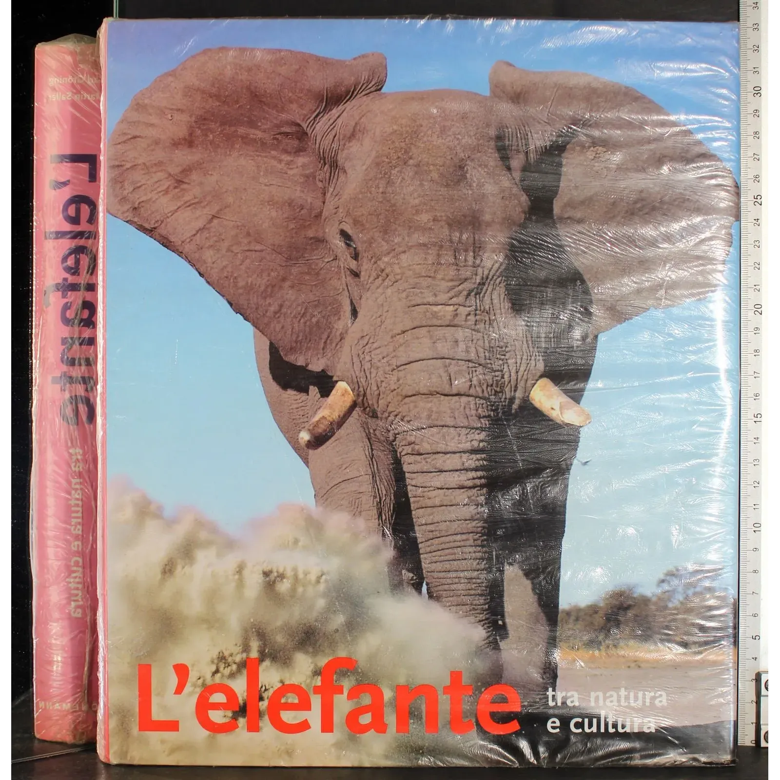 Elefante tra natura e cultura