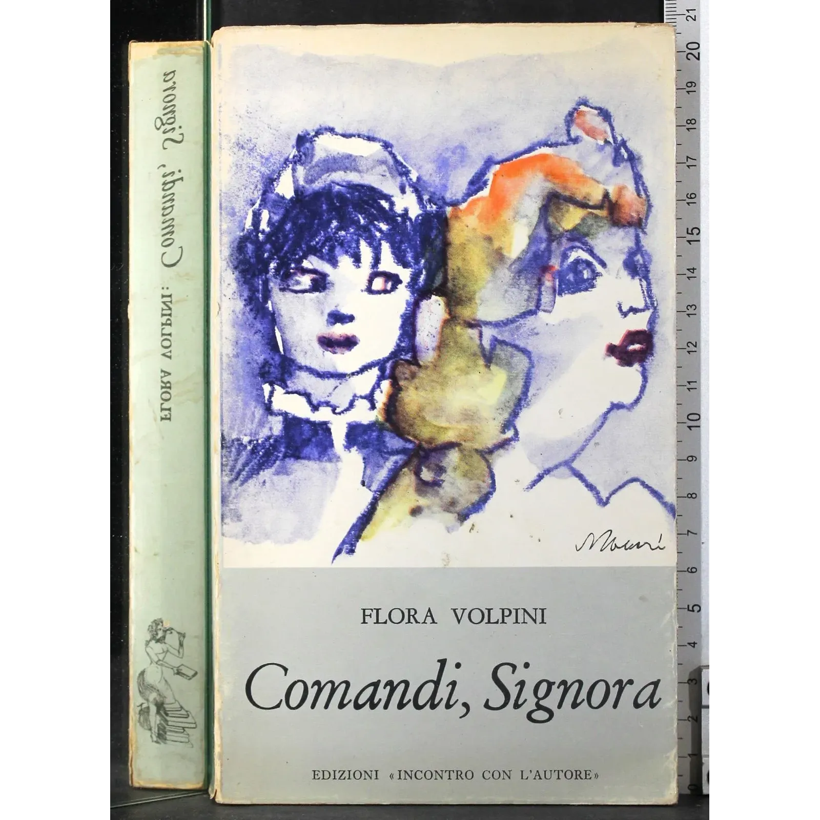 Comandi signora