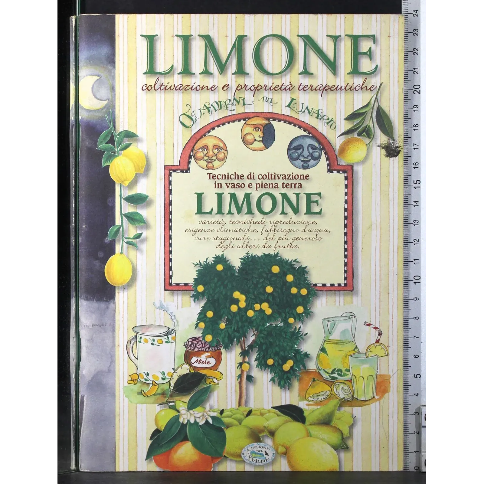 Limone