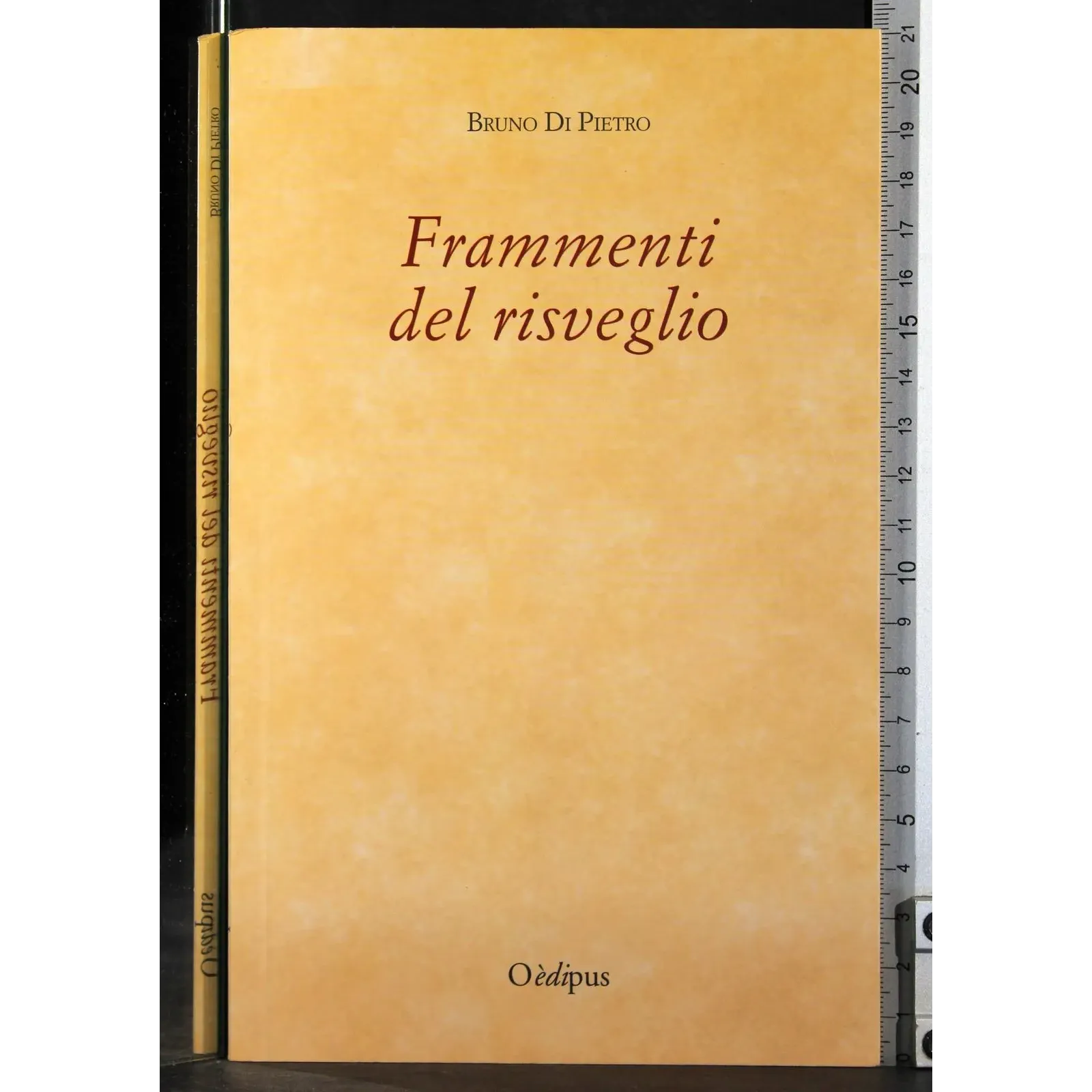 Frammenti del risveglio