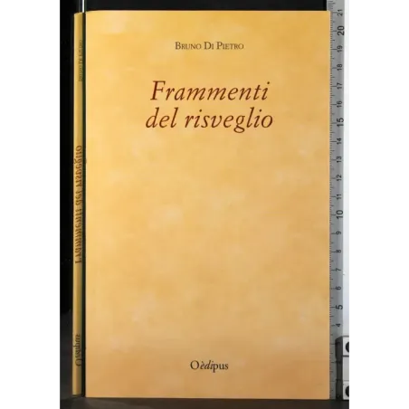 Frammenti del risveglio