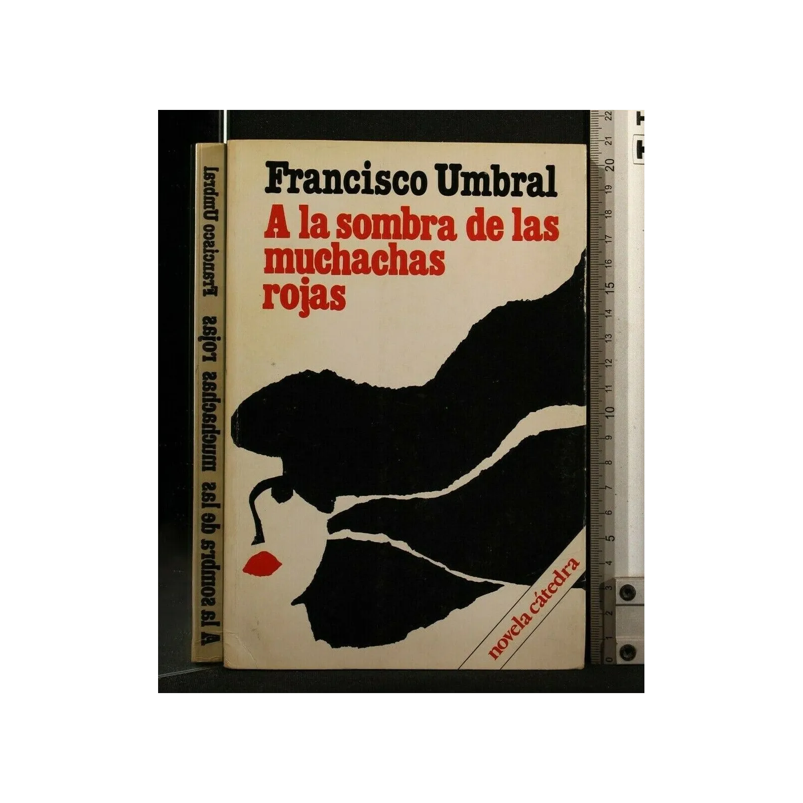 A LA SOMBRA DE LAS MUCHACHAS ROJAS