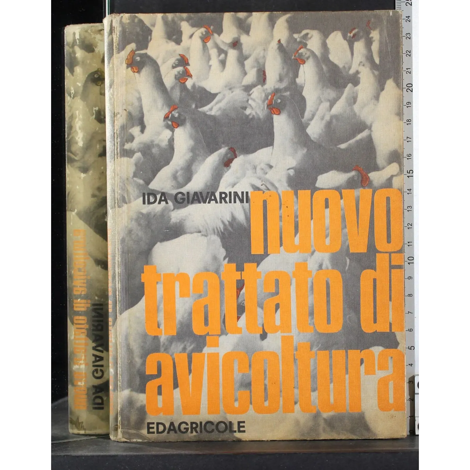 Nuovo trattato di avicoltura