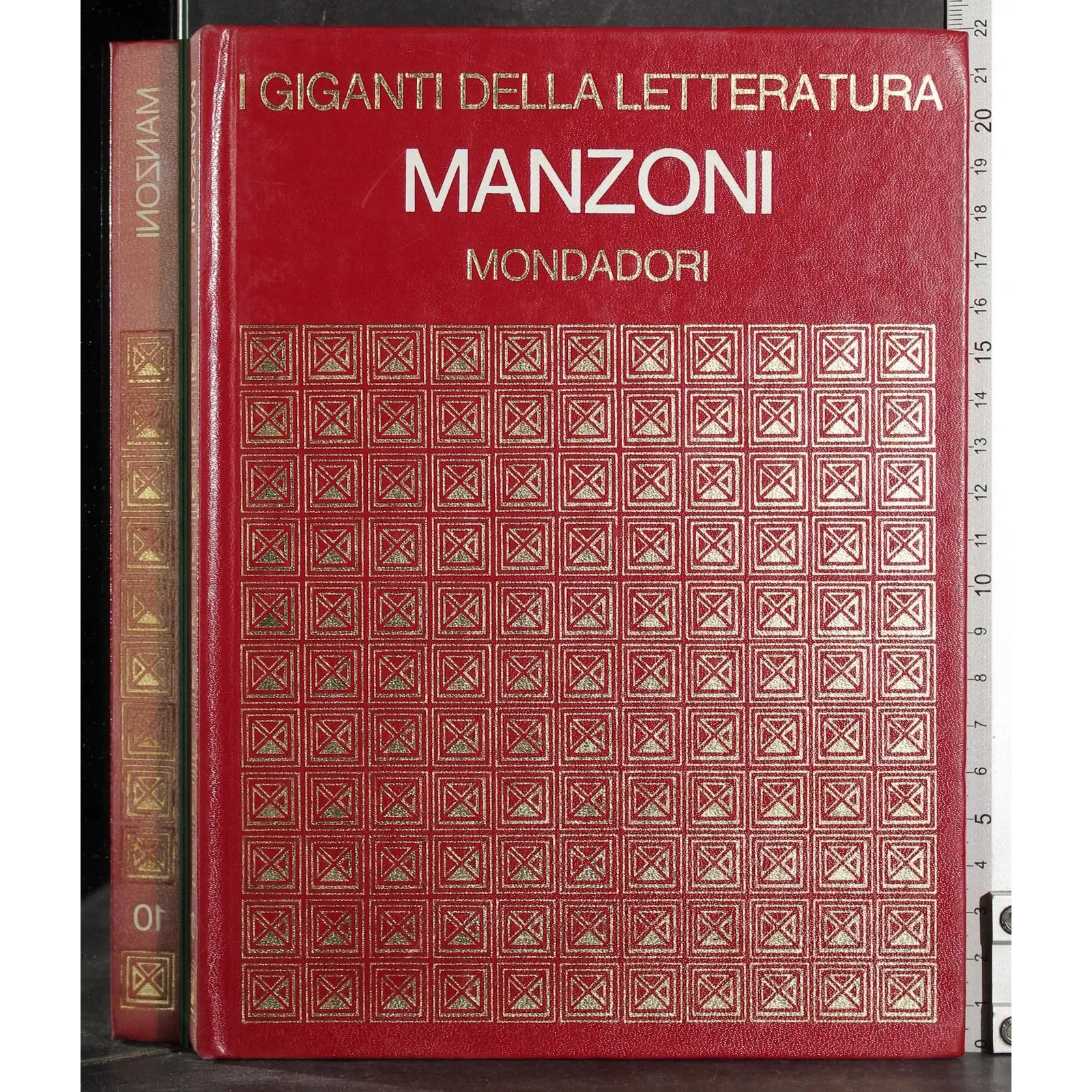 Giganti della letteratura. Manzoni
