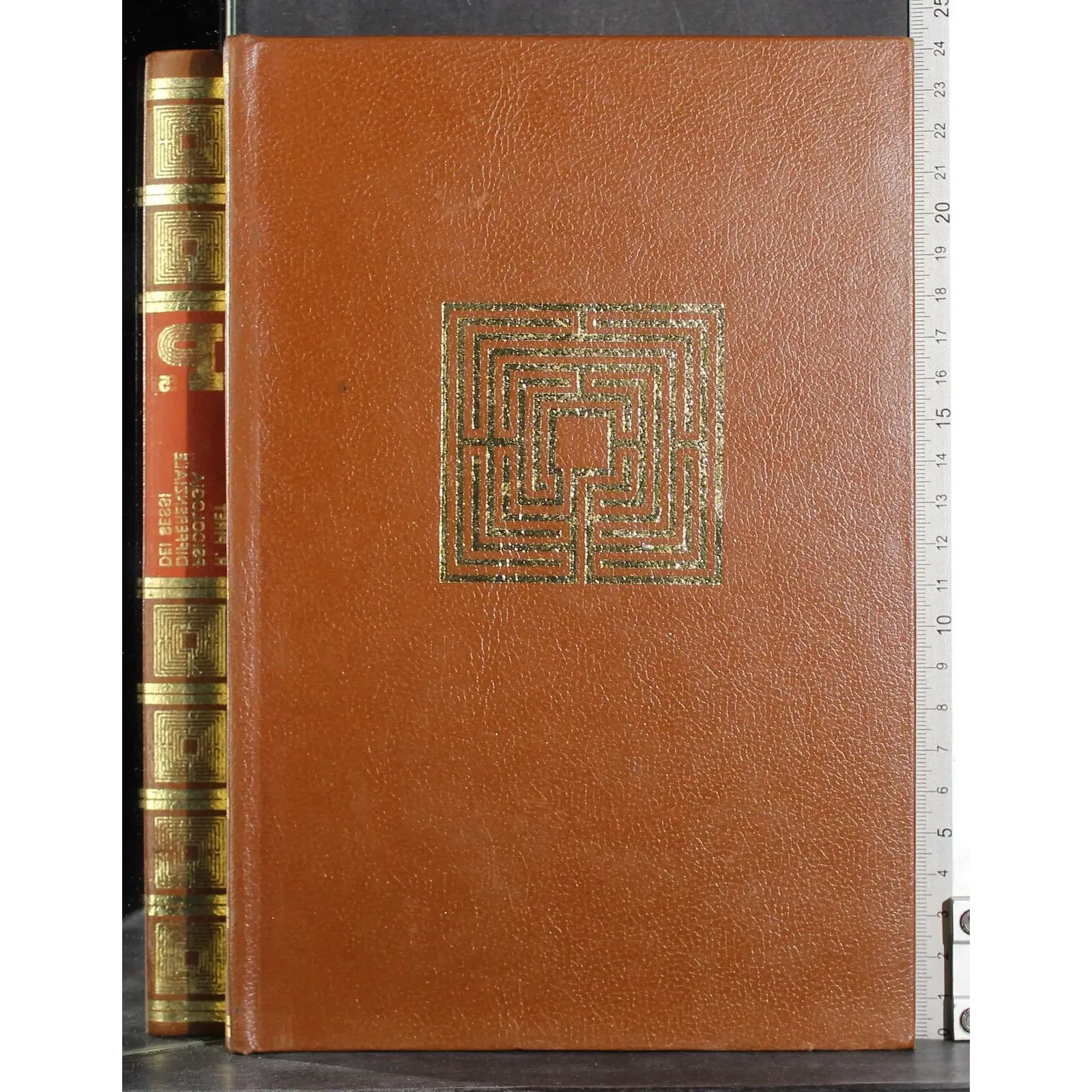 Psicologia differenziale dei sessi