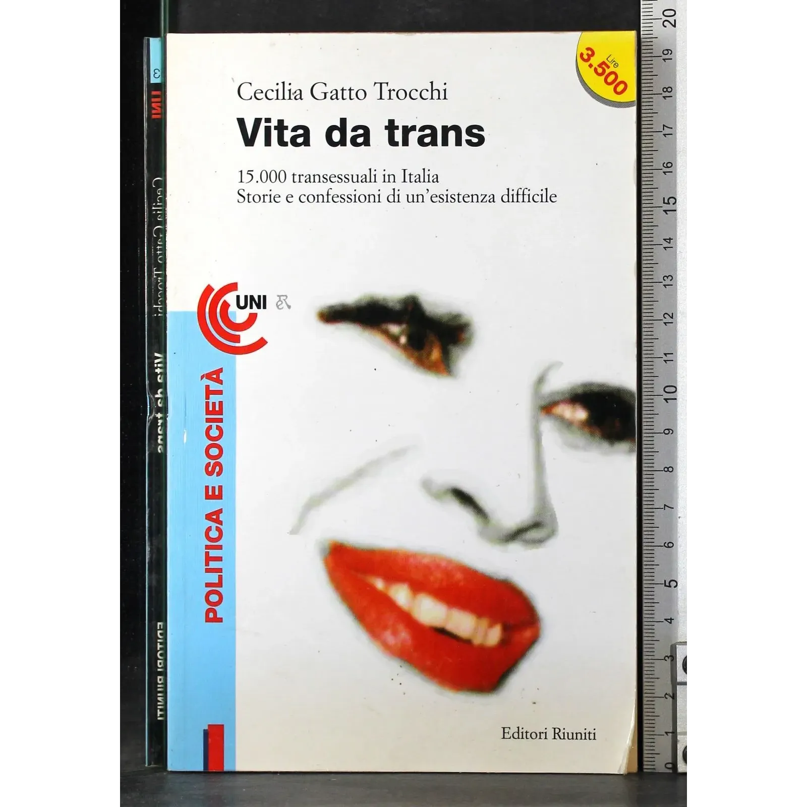 Vita da trans