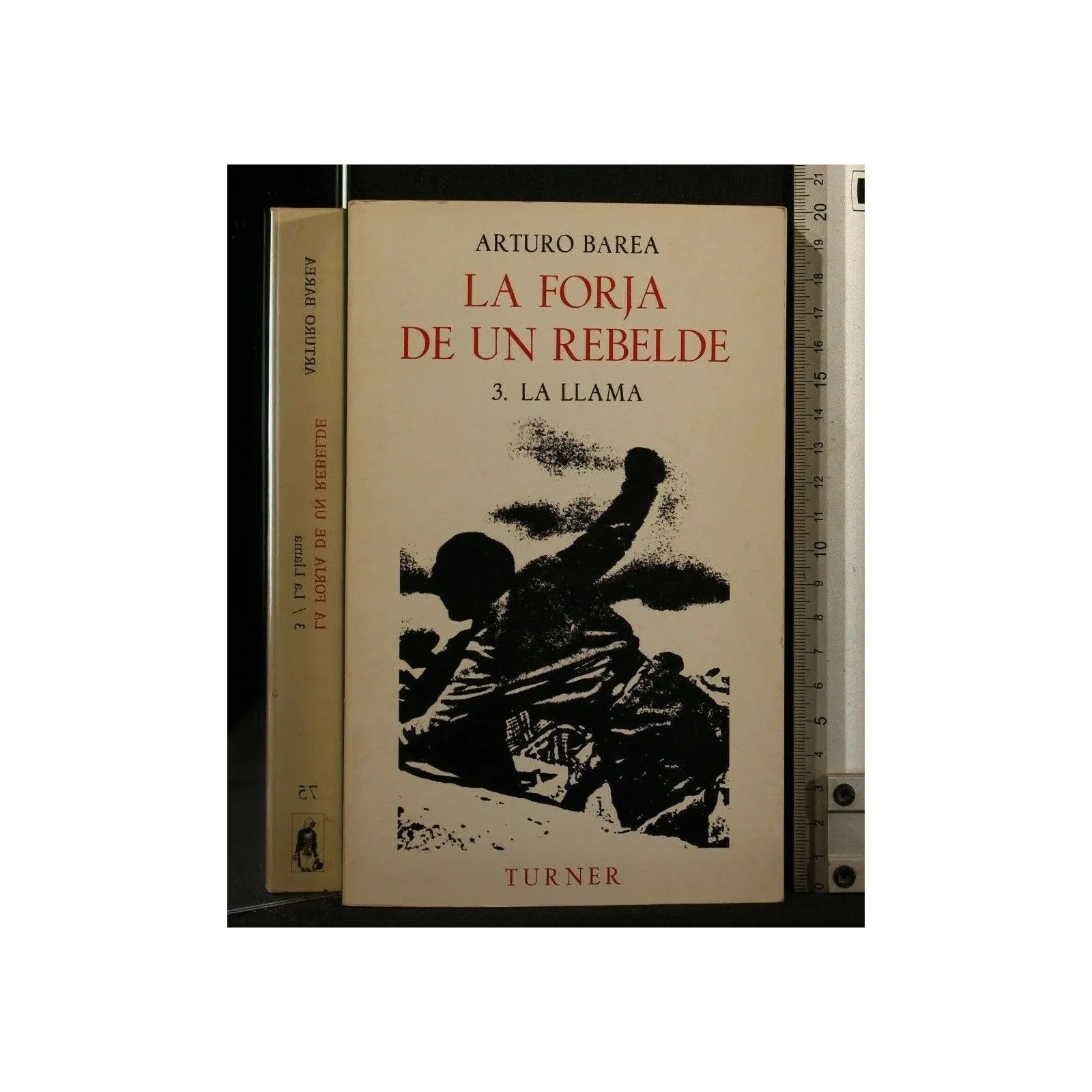 LA FORJA DE UN REBELDE VOL 3 LA LLAMA