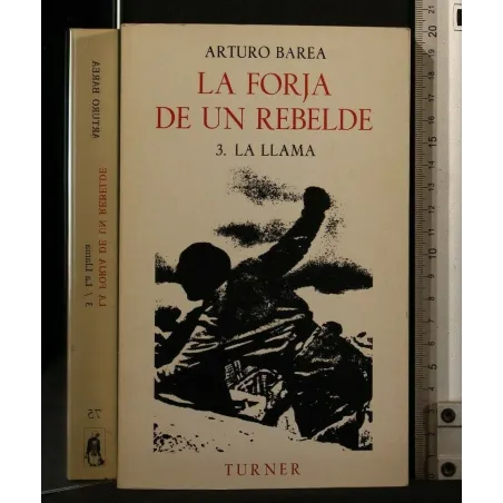 LA FORJA DE UN REBELDE VOL 3 LA LLAMA