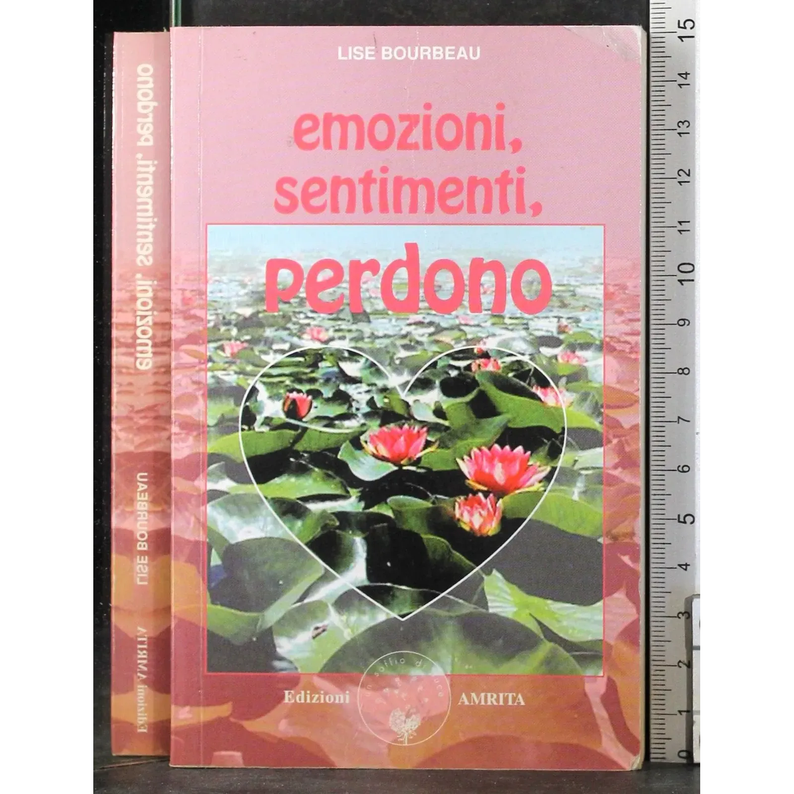 Emozioni sentimenti perdono