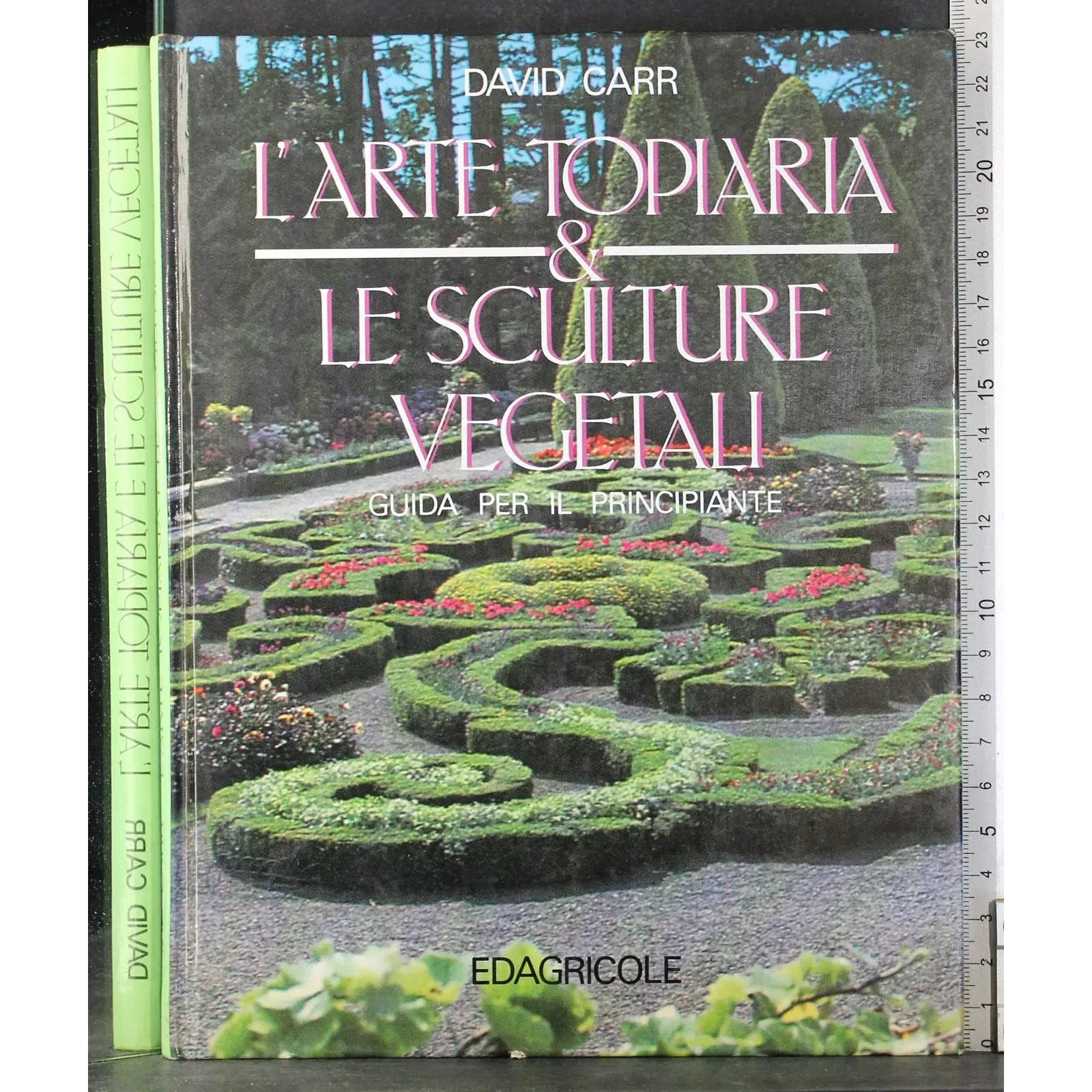 L'arte topiaria & sculture vegetali