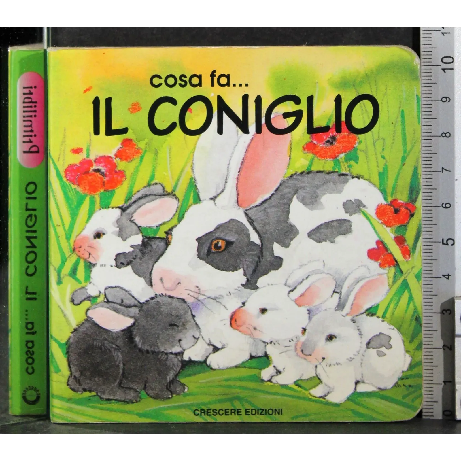 Cosa fa… Il coniglio