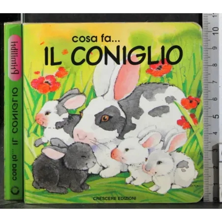 Cosa fa… Il coniglio