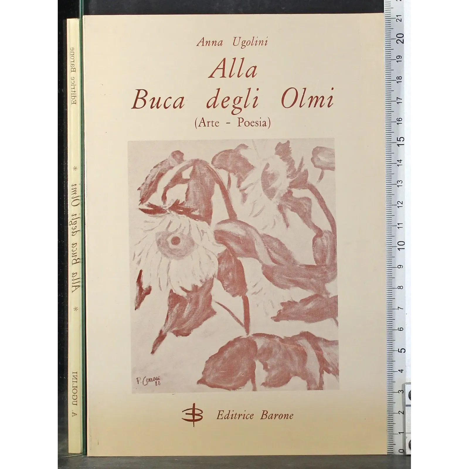 Alla buca degli olmi