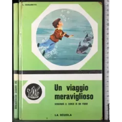 Un viaggio meraviglio