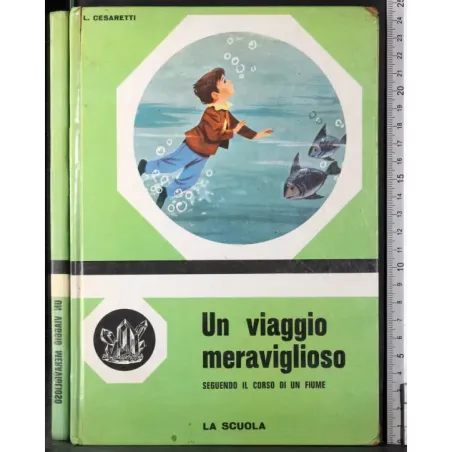 Un viaggio meraviglio