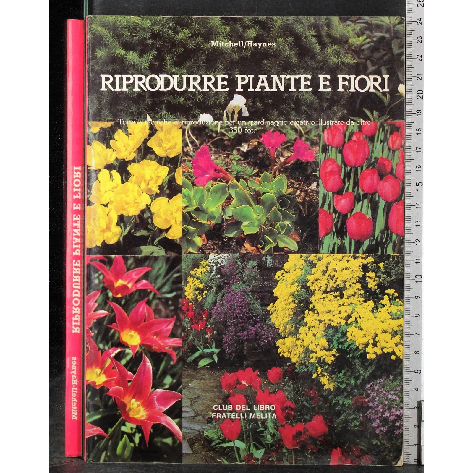 Riprodurre piante e fiori