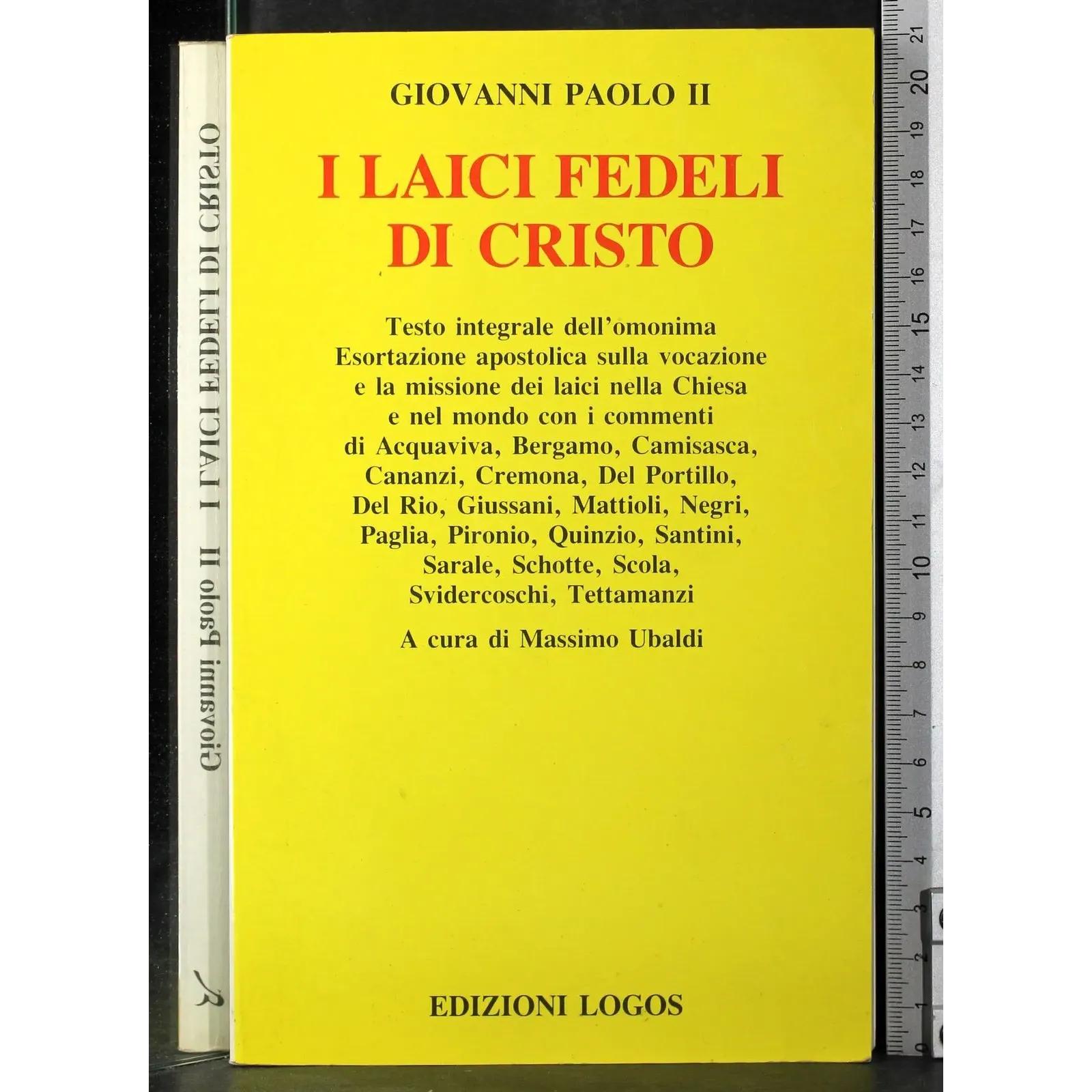 I laici fedeli di Cristo