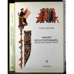 Saggio sull'università