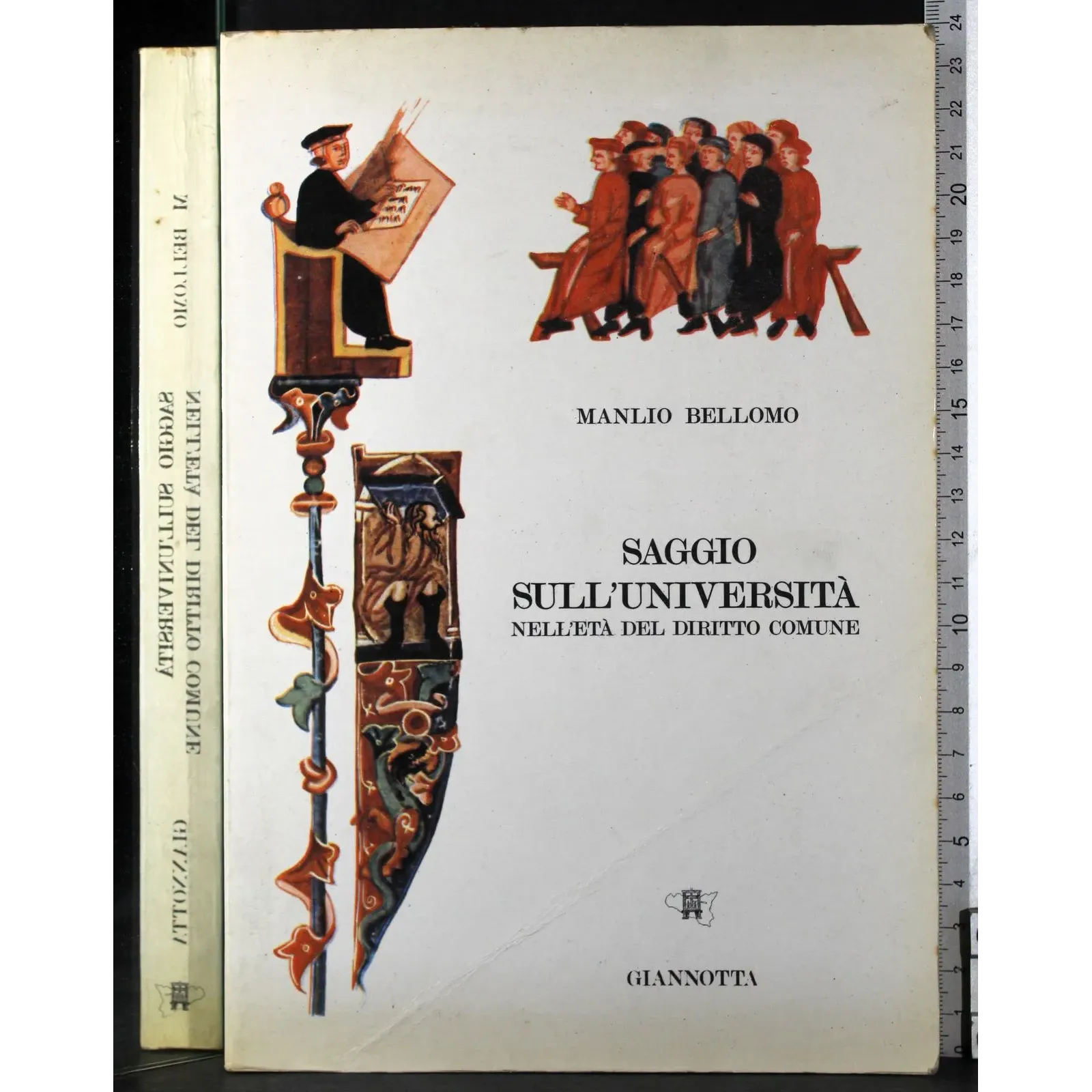 Saggio sull'università