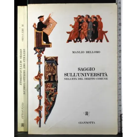 Saggio sull'università