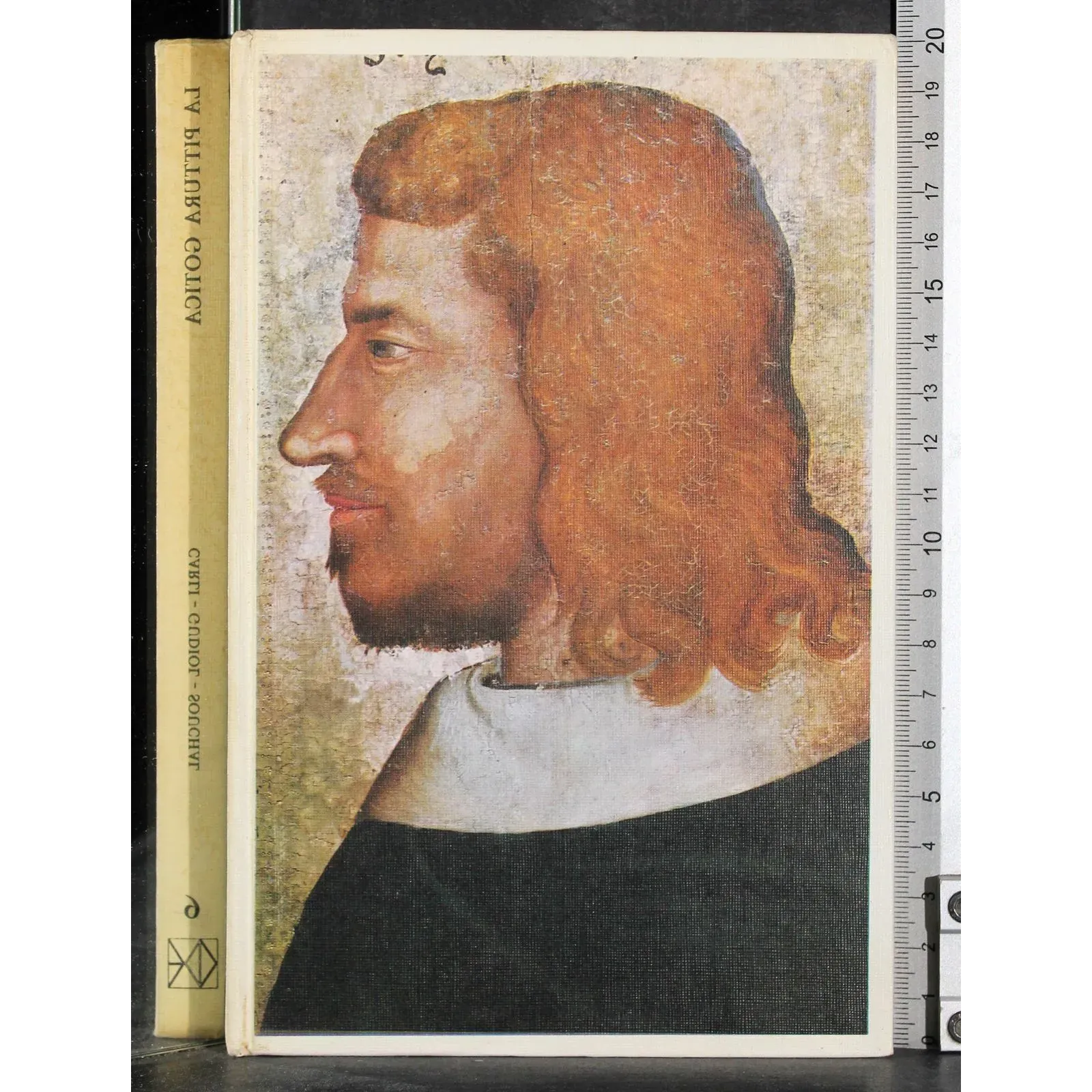 L'arte nei secoli 6. La pittura gotica