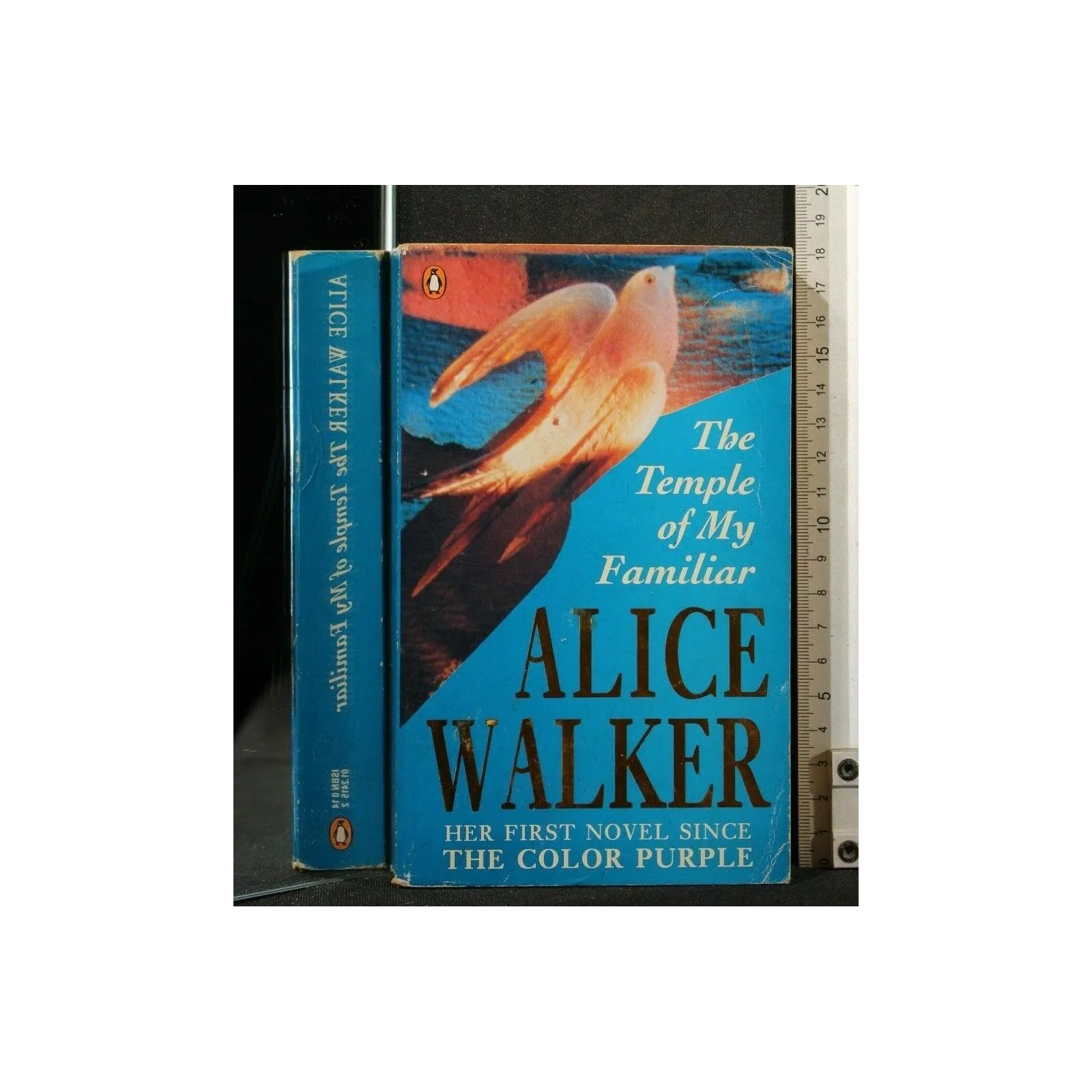 THE TEMPLE OF MY FAMILIAR