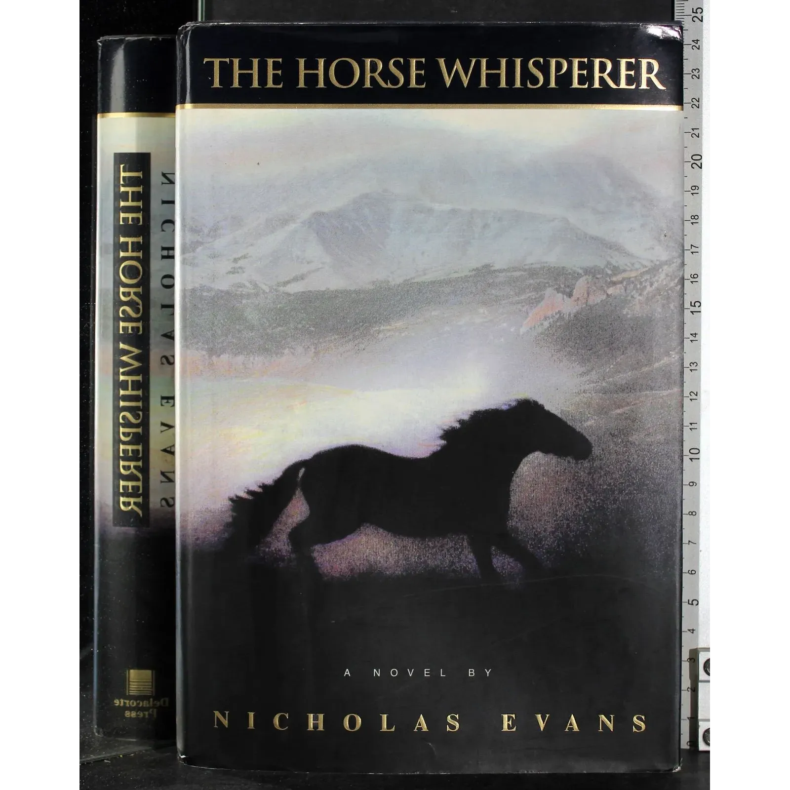 The Horse Whisperer