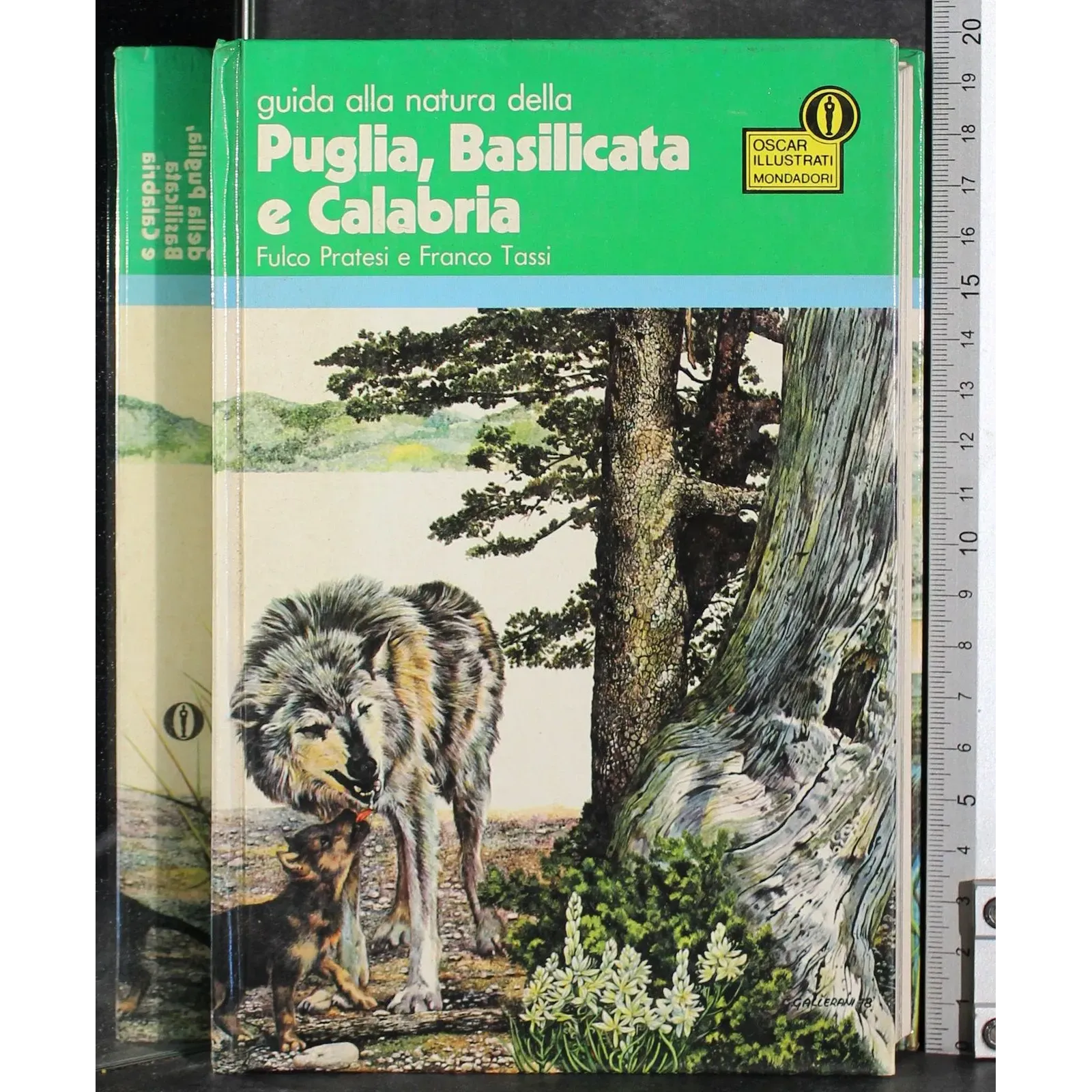 Guida alla natura della Puglia Basilicata e Calabria