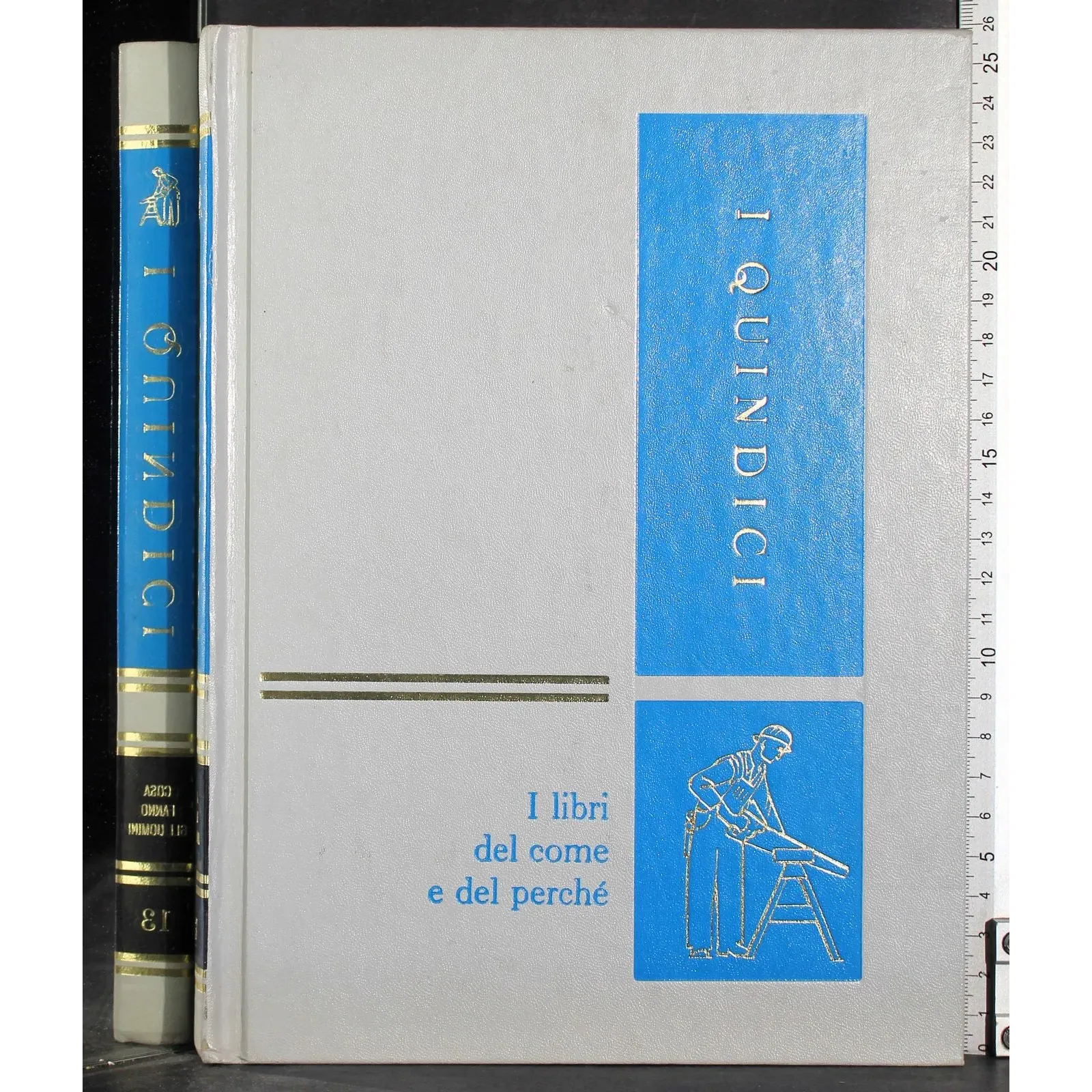 I quindici 13. Cosa fanmo gli uomini