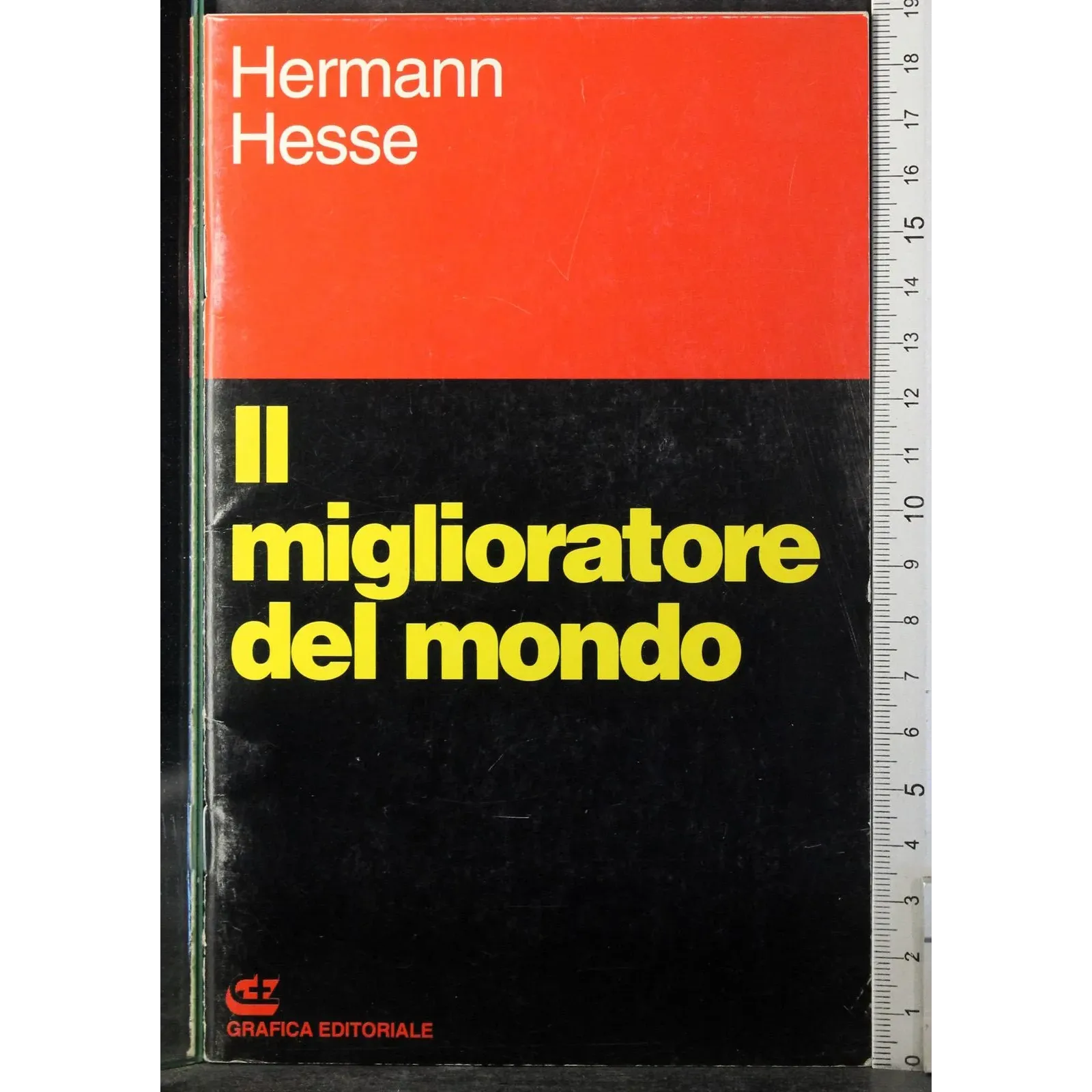 Il miglioratore del mondo