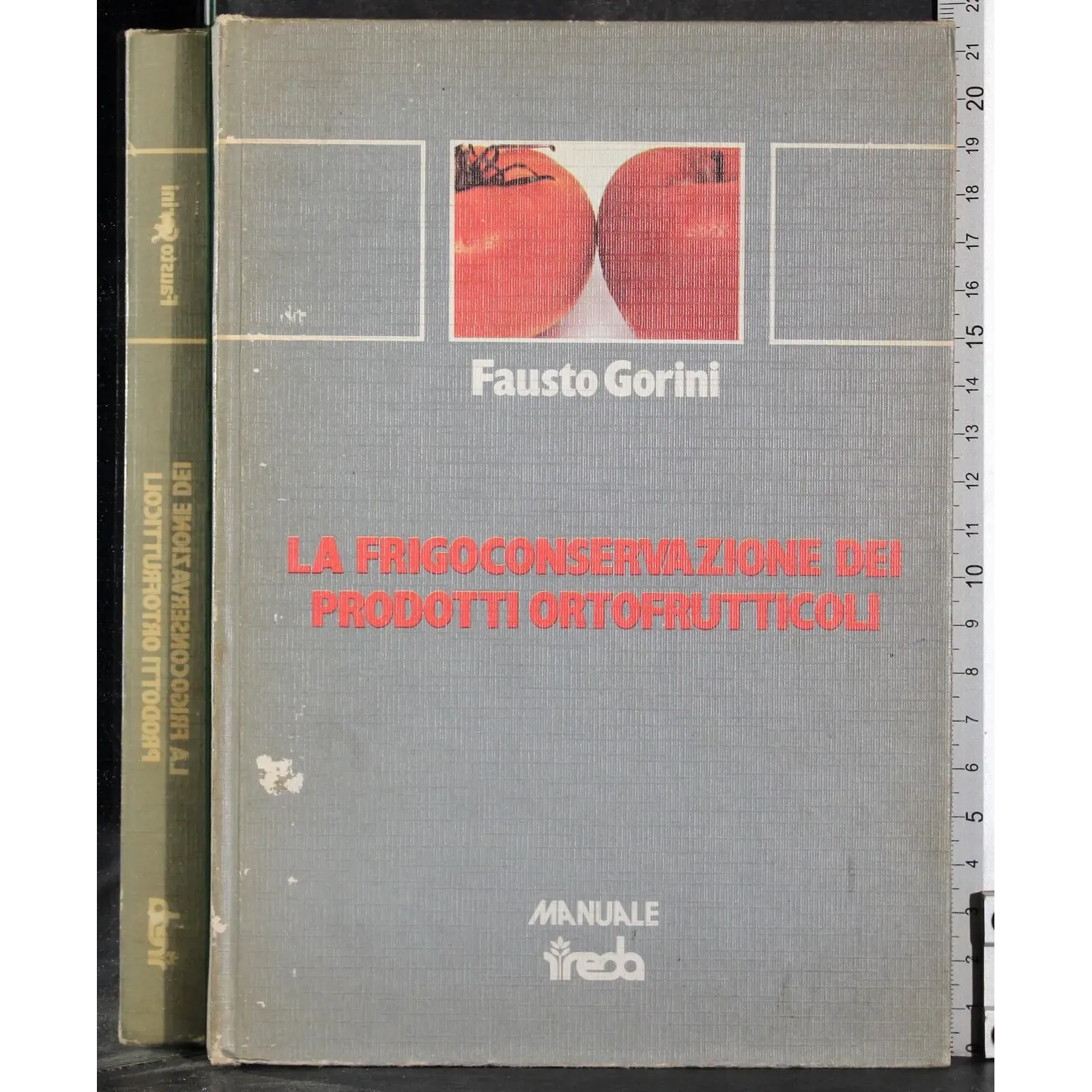 La frigoconservazione dei prodotti ortofrutticoli