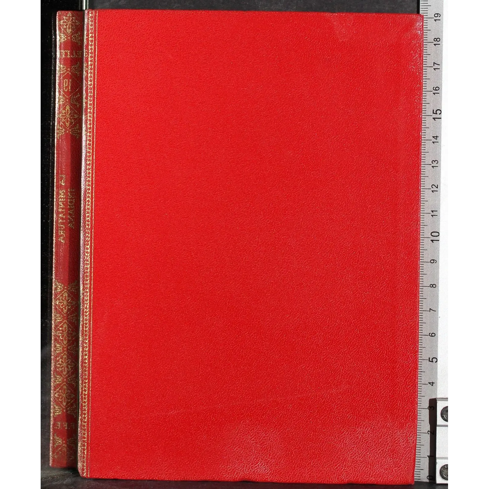 Elite. La miniatura indiana