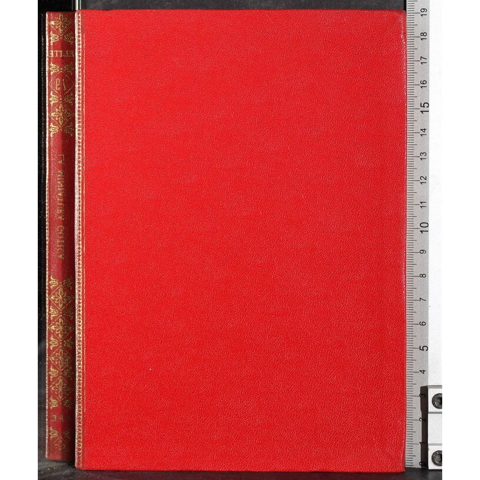 Elite. La miniatura gotica