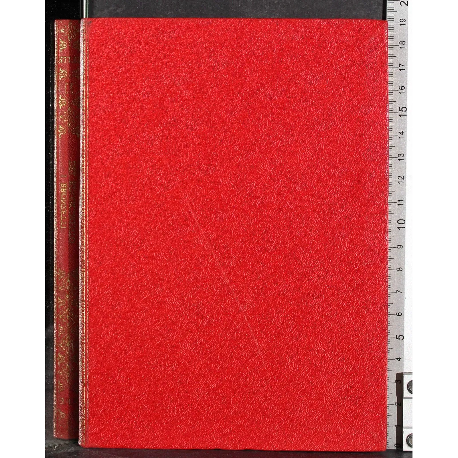 Elite. I bronzetti del Rinascimento