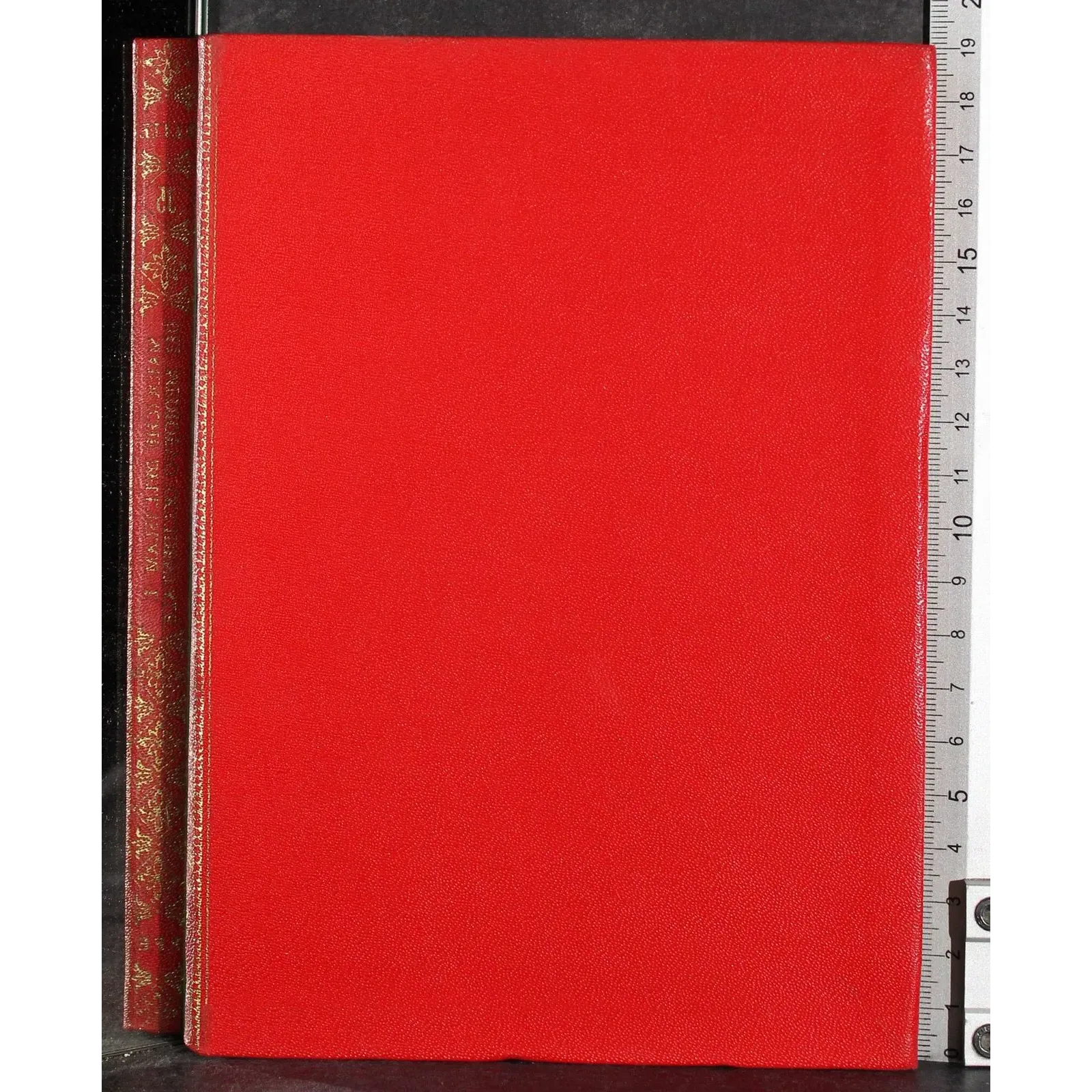 Elite. Maioliche dell'Islam e del medioevo Occidentale