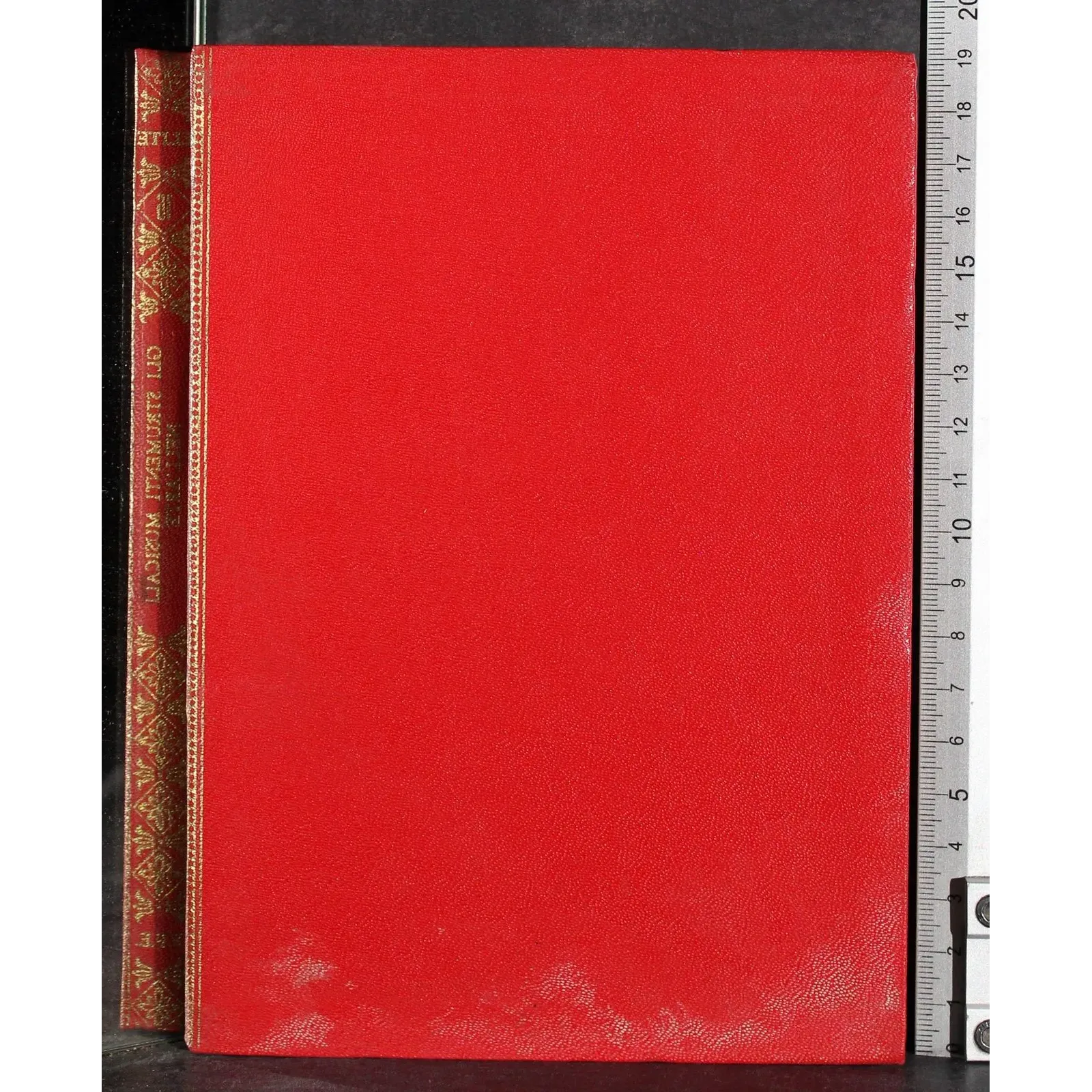 Elite. Gli strumenti musicali nell'arte