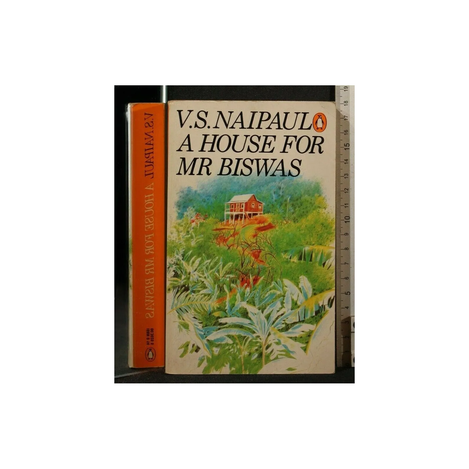 A HOUSE FOR MR BISWAS