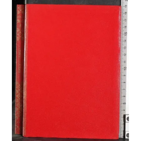 Elite. Tappeto d'oriente